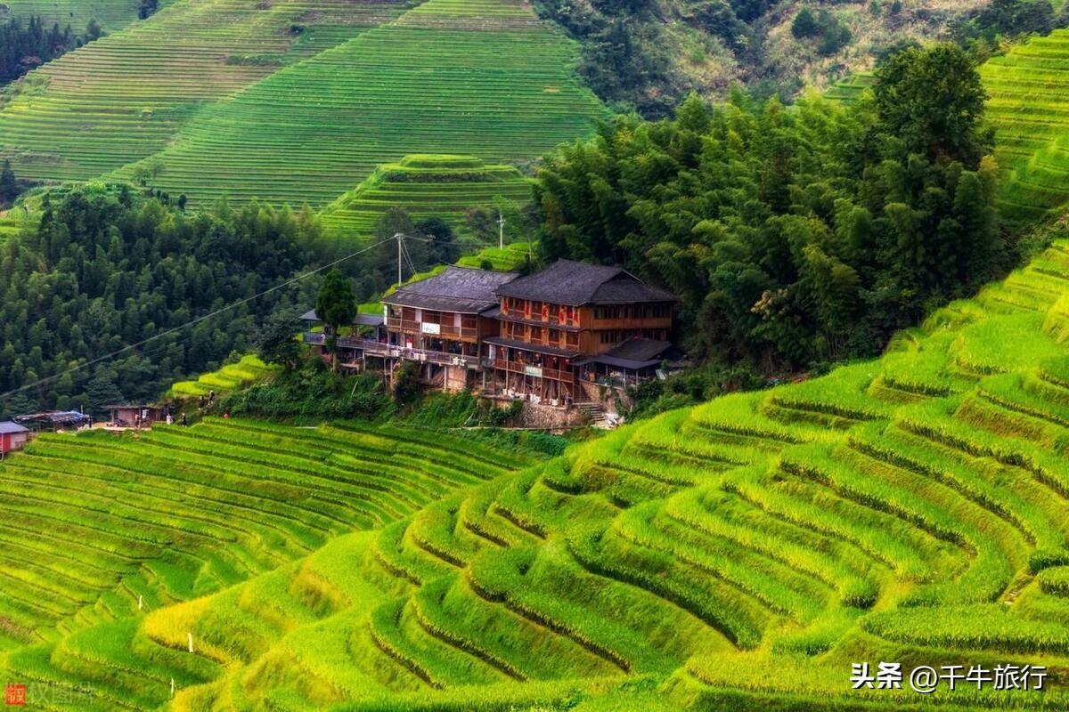 广西旅游最值得去的景点(广西最值得去的8个景点,去过4个算合格,你去过几个)(图9) 广西旅游最值得去的景点(广西最值得去的8个景点,去过4个算合格,你去过几个)(图9)