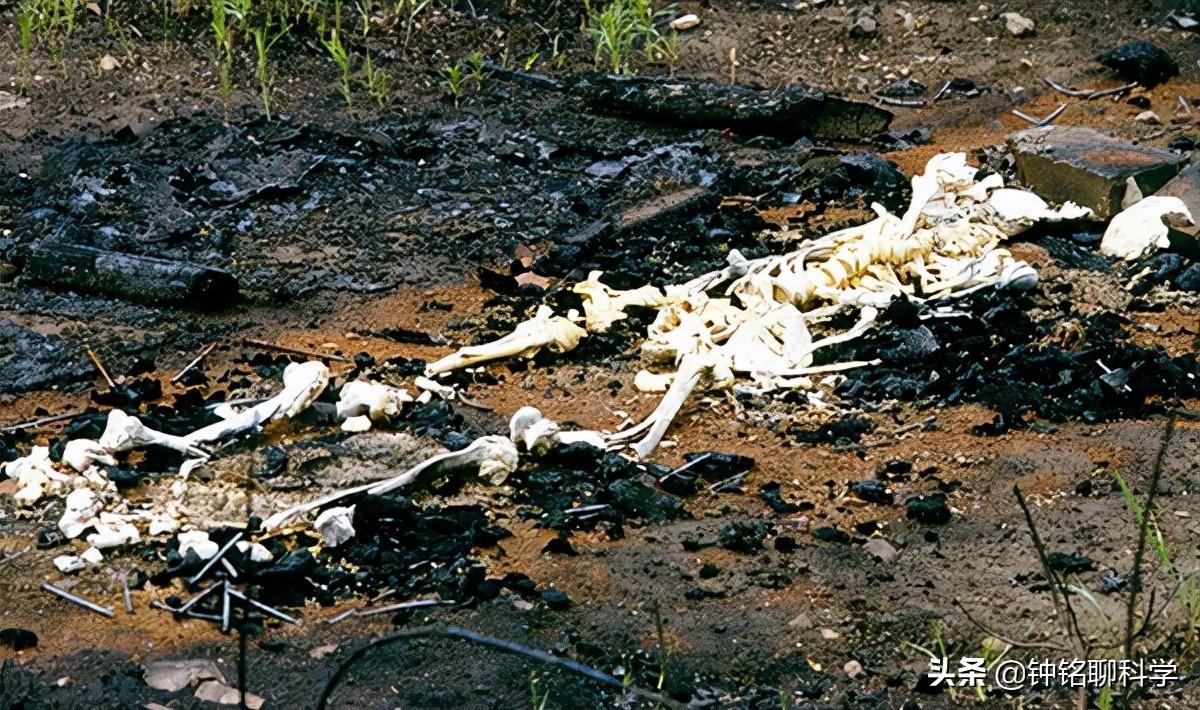 昆仑山死亡谷有多恐怖(昆仑山地狱之门有多恐怖?牧民为寻找马群入谷,马回来了,人没了)(图6) 昆仑山死亡谷有多恐怖(昆仑山地狱之门有多恐怖?牧民为寻找马群入谷,马回来了,人没了)(图6)