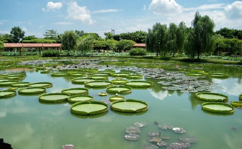 佛山旅游必去十大景点(佛山十大必玩景点,去过九处才算真正玩转佛山)(图20) 佛山旅游必去十大景点(佛山十大必玩景点,去过九处才算真正玩转佛山)(图20)
