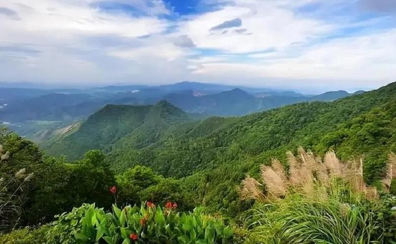 佛山旅游必去十大景点(佛山十大必玩景点,去过九处才算真正玩转佛山)(图22) 佛山旅游必去十大景点(佛山十大必玩景点,去过九处才算真正玩转佛山)(图22)