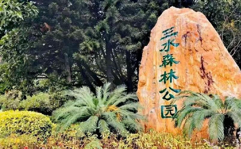 佛山旅游必去十大景点(佛山十大必玩景点,去过九处才算真正玩转佛山)(图43) 佛山旅游必去十大景点(佛山十大必玩景点,去过九处才算真正玩转佛山)(图43)