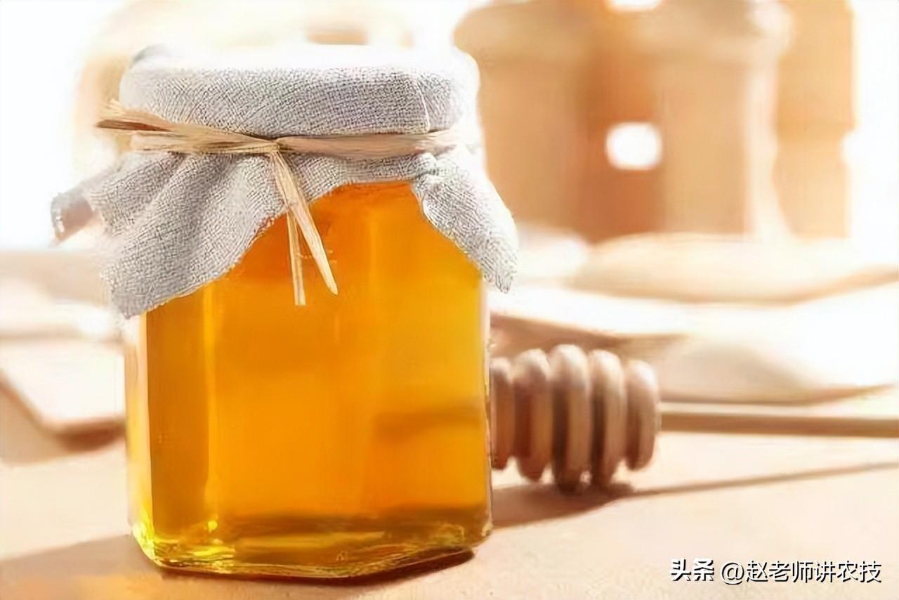 蜂蜜怎么保存最好(你保存蜂蜜的方法真的对吗?怎么保存才最好?建议看完,避免浪费)(图2) 蜂蜜怎么保存最好(你保存蜂蜜的方法真的对吗?怎么保存才最好?建议看完,避免浪费)(图2)