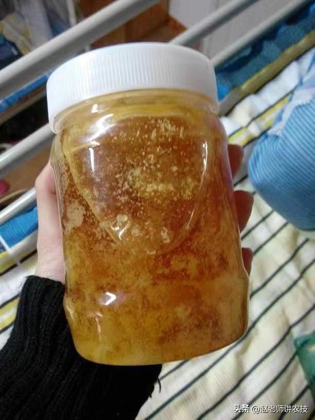 蜂蜜怎么保存最好(你保存蜂蜜的方法真的对吗?怎么保存才最好?建议看完,避免浪费)(图1) 蜂蜜怎么保存最好(你保存蜂蜜的方法真的对吗?怎么保存才最好?建议看完,避免浪费)(图1)