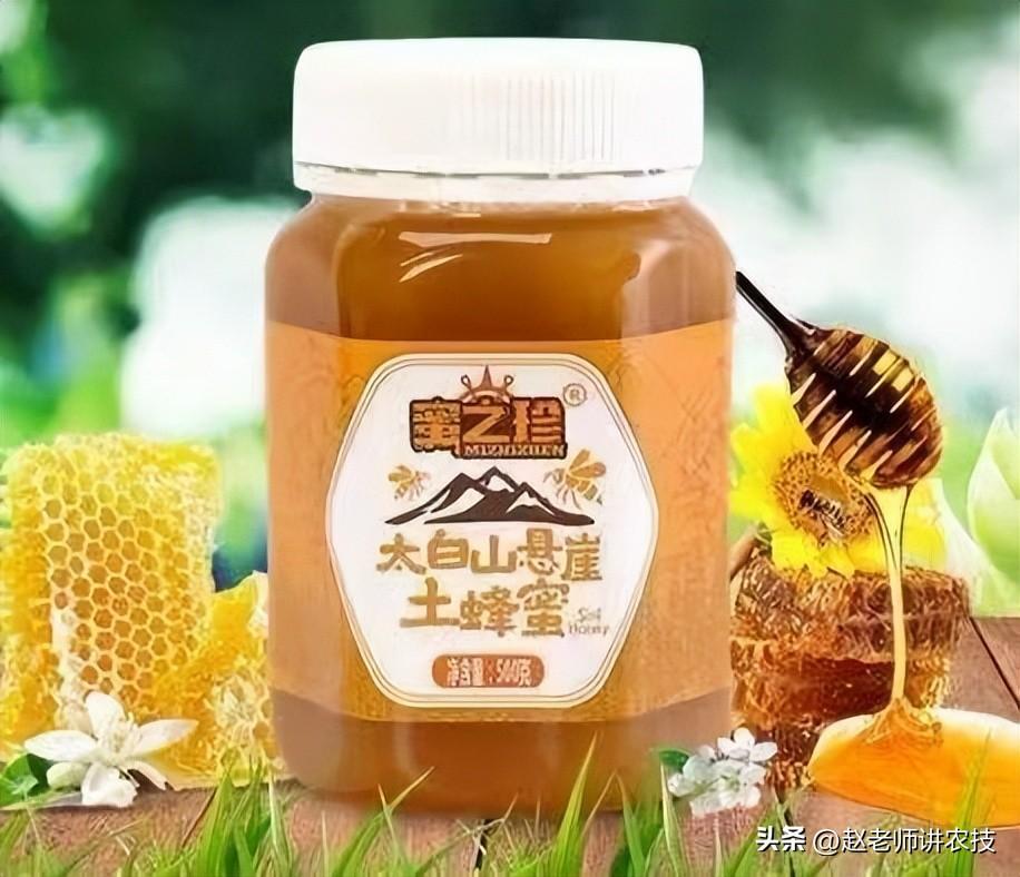蜂蜜怎么保存最好(你保存蜂蜜的方法真的对吗?怎么保存才最好?建议看完,避免浪费)(图3) 蜂蜜怎么保存最好(你保存蜂蜜的方法真的对吗?怎么保存才最好?建议看完,避免浪费)(图3)