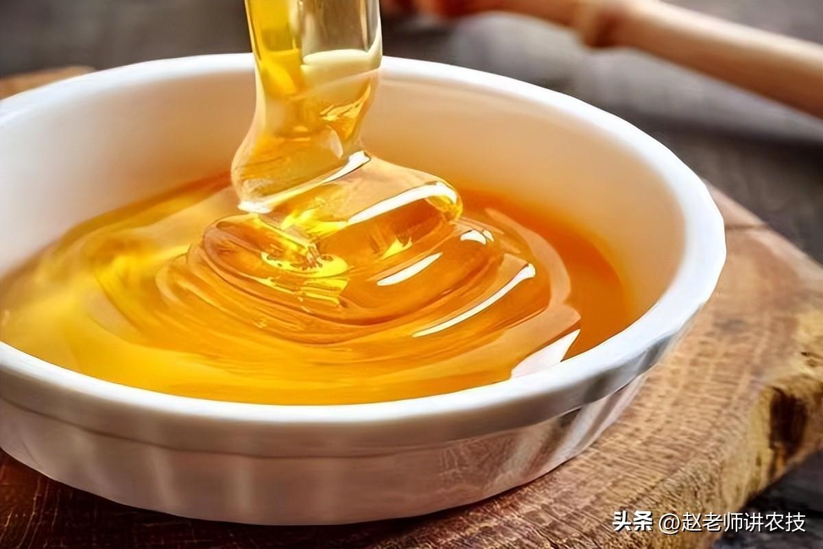 蜂蜜怎么保存最好(你保存蜂蜜的方法真的对吗?怎么保存才最好?建议看完,避免浪费)(图4) 蜂蜜怎么保存最好(你保存蜂蜜的方法真的对吗?怎么保存才最好?建议看完,避免浪费)(图4)