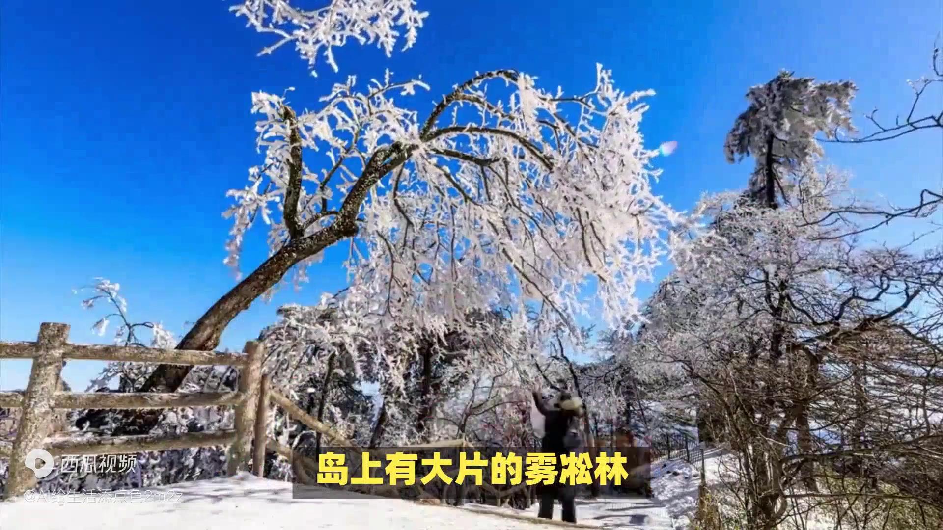 元旦去哪玩比较好(2023元旦最佳旅游目的地揭晓!这些地方你绝对不能错过!)(图3) 元旦去哪玩比较好(2023元旦最佳旅游目的地揭晓!这些地方你绝对不能错过!)(图3)