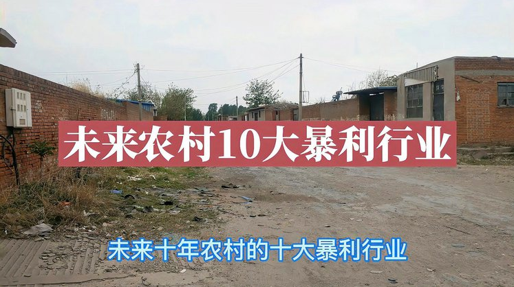 农村未来10大暴利行业(农村未来10大暴利行业,只有少数人知道的秘密!)(图1) 农村未来10大暴利行业(农村未来10大暴利行业,只有少数人知道的秘密!)(图1)