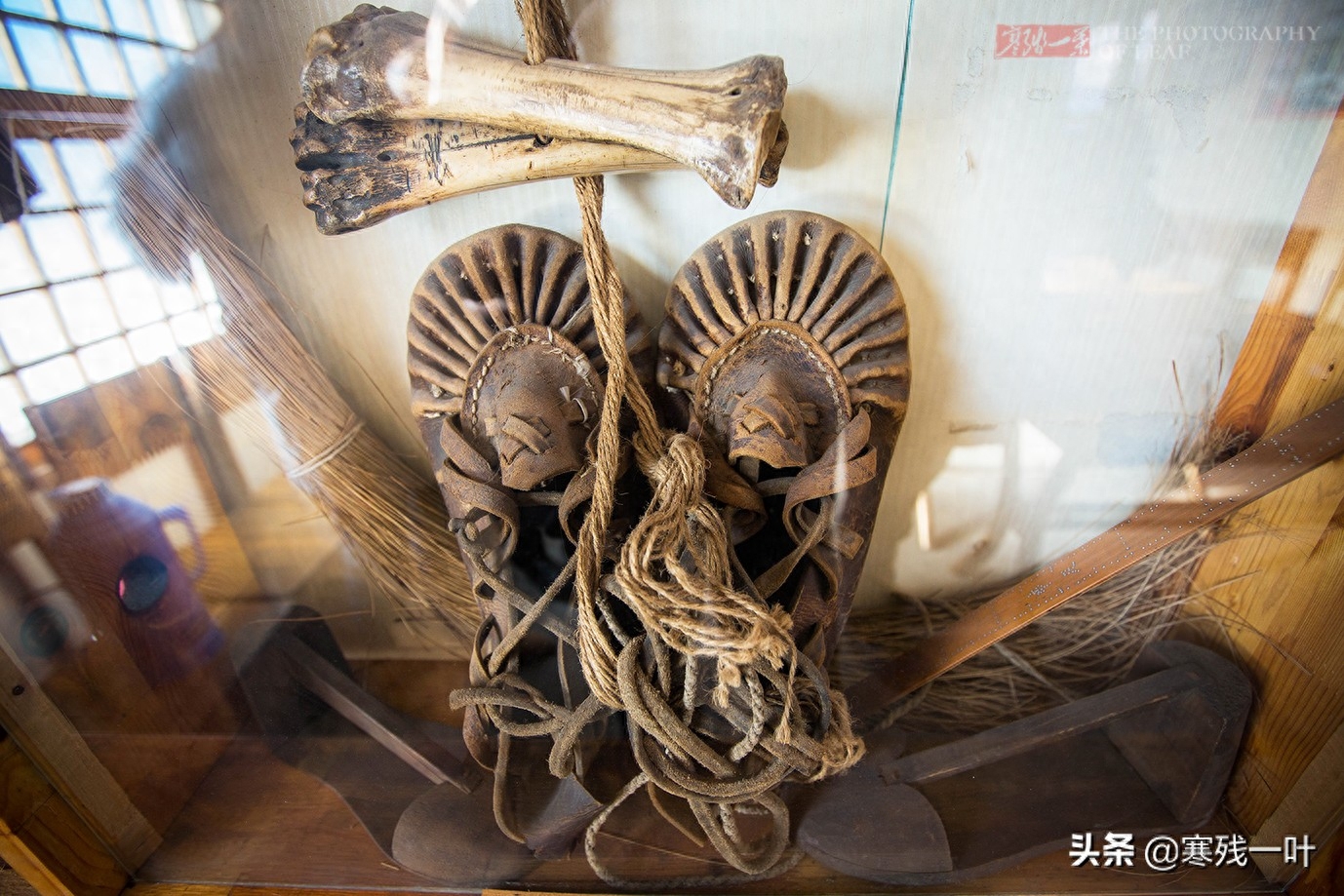东北有三宝指哪三宝(东北三宝:人参、貂皮、乌拉草,原来它们有这么多故事,你听过吗)(图9) 东北有三宝指哪三宝(东北三宝:人参、貂皮、乌拉草,原来它们有这么多故事,你听过吗)(图9)