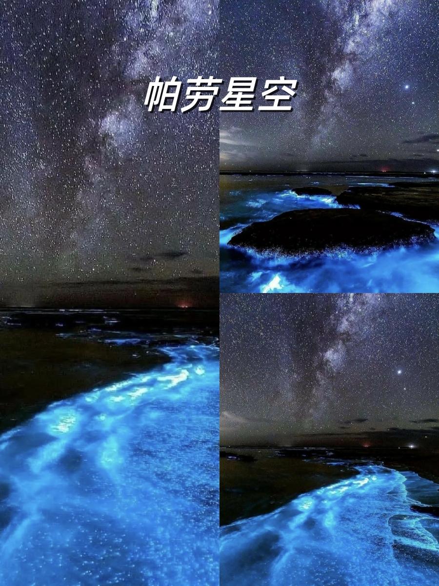 塞班关岛帕劳哪个岛最好玩(帕劳和塞班岛,人均一万,同类海岛怎么选)(图5) 塞班关岛帕劳哪个岛最好玩(帕劳和塞班岛,人均一万,同类海岛怎么选)(图5)