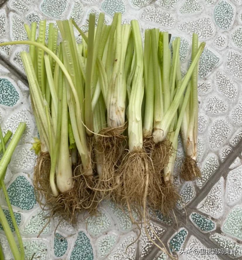 怎样储存芹菜(担心静默囤蔬菜,芹菜像我这样保存,3个月都不会坏,吃着也方便)(图4) 怎样储存芹菜(担心静默囤蔬菜,芹菜像我这样保存,3个月都不会坏,吃着也方便)(图4)