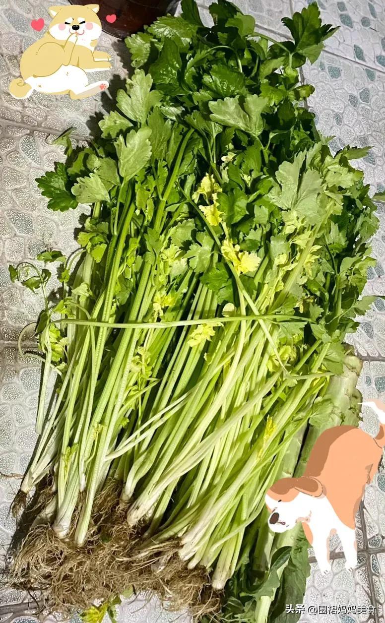 怎样储存芹菜(担心静默囤蔬菜,芹菜像我这样保存,3个月都不会坏,吃着也方便)(图3) 怎样储存芹菜(担心静默囤蔬菜,芹菜像我这样保存,3个月都不会坏,吃着也方便)(图3)