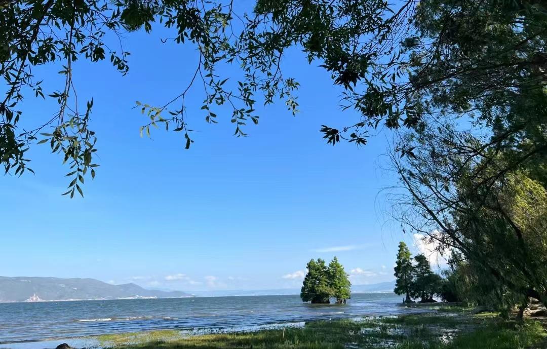 大理古城游玩攻略必去(去大理旅游怎么玩,交通住宿景点全包含,看这篇攻略就够了)(图4) 大理古城游玩攻略必去(去大理旅游怎么玩,交通住宿景点全包含,看这篇攻略就够了)(图4)