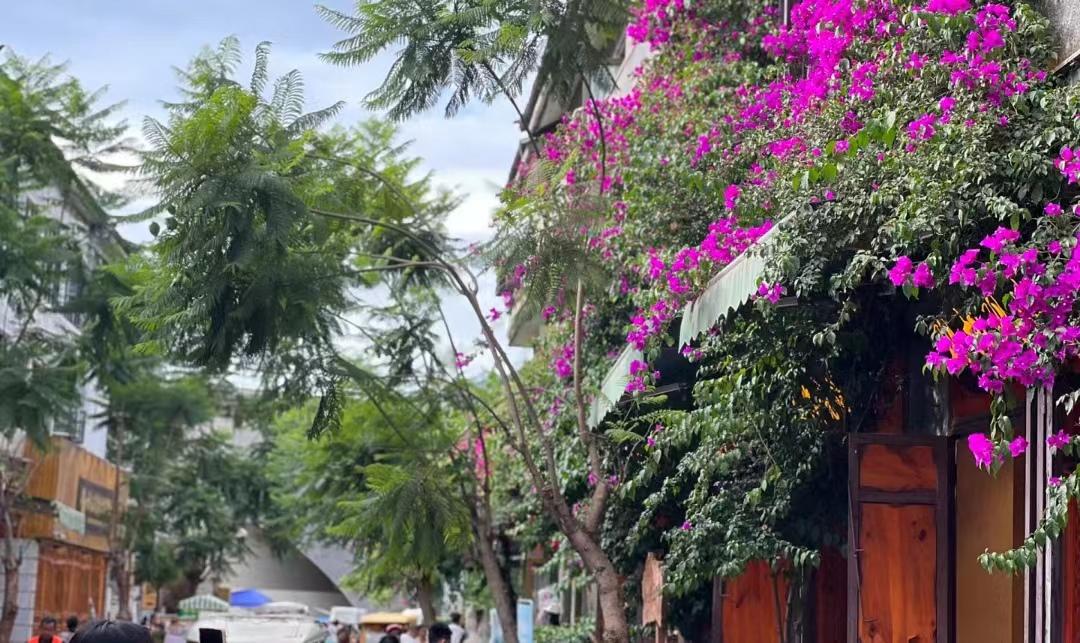 大理古城游玩攻略必去(去大理旅游怎么玩,交通住宿景点全包含,看这篇攻略就够了)(图6) 大理古城游玩攻略必去(去大理旅游怎么玩,交通住宿景点全包含,看这篇攻略就够了)(图6)