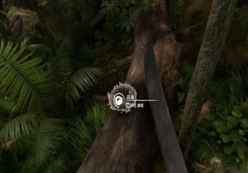 绿色地狱模具怎么做(绿色地狱steam中文版)(图20) 绿色地狱模具怎么做(绿色地狱steam中文版)(图20)