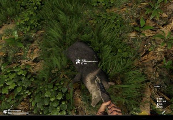 绿色地狱模具怎么做(绿色地狱steam中文版)(图24) 绿色地狱模具怎么做(绿色地狱steam中文版)(图24)