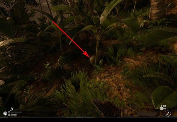 绿色地狱模具怎么做(绿色地狱steam中文版)(图29) 绿色地狱模具怎么做(绿色地狱steam中文版)(图29)