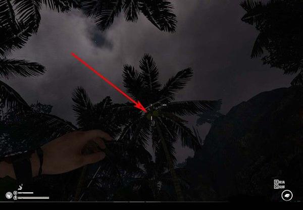 绿色地狱模具怎么做(绿色地狱steam中文版)(图30) 绿色地狱模具怎么做(绿色地狱steam中文版)(图30)