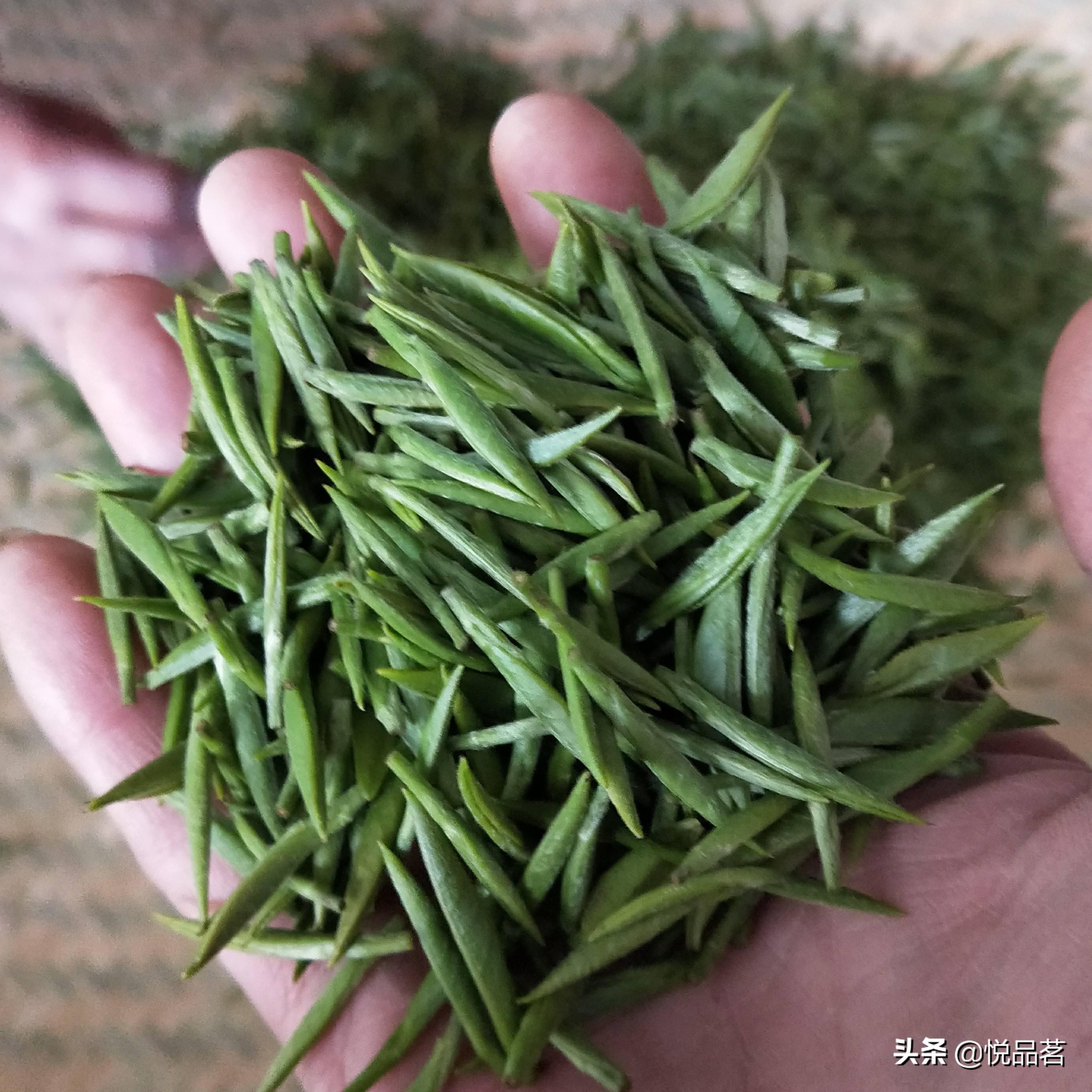 金骏眉价格一览表(正宗的金骏眉价格是1000元一斤?顶级的金骏眉价格是多少钱一斤)(图4) 金骏眉价格一览表(正宗的金骏眉价格是1000元一斤?顶级的金骏眉价格是多少钱一斤)(图4)
