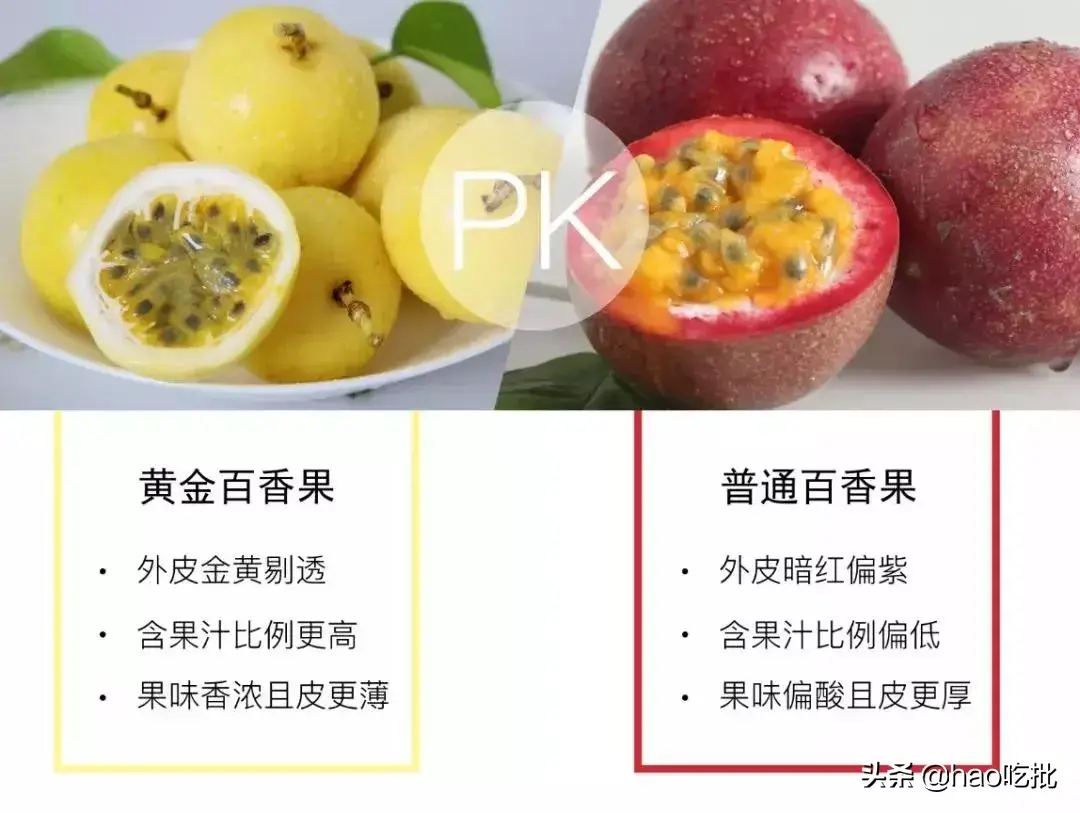黄金蜜瓜的功效与作用(疫情后,管住嘴:不暴饮暴食,常吃这3种水果,补充维生素防春燥)(图12) 黄金蜜瓜的功效与作用(疫情后,管住嘴:不暴饮暴食,常吃这3种水果,补充维生素防春燥)(图12)