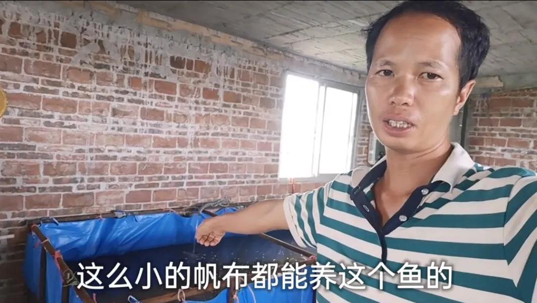 高密度养殖(农村小伙在房屋里高密度养鱼,一方池养1000条苗,半年就能卖了)(图1) 高密度养殖(农村小伙在房屋里高密度养鱼,一方池养1000条苗,半年就能卖了)(图1)