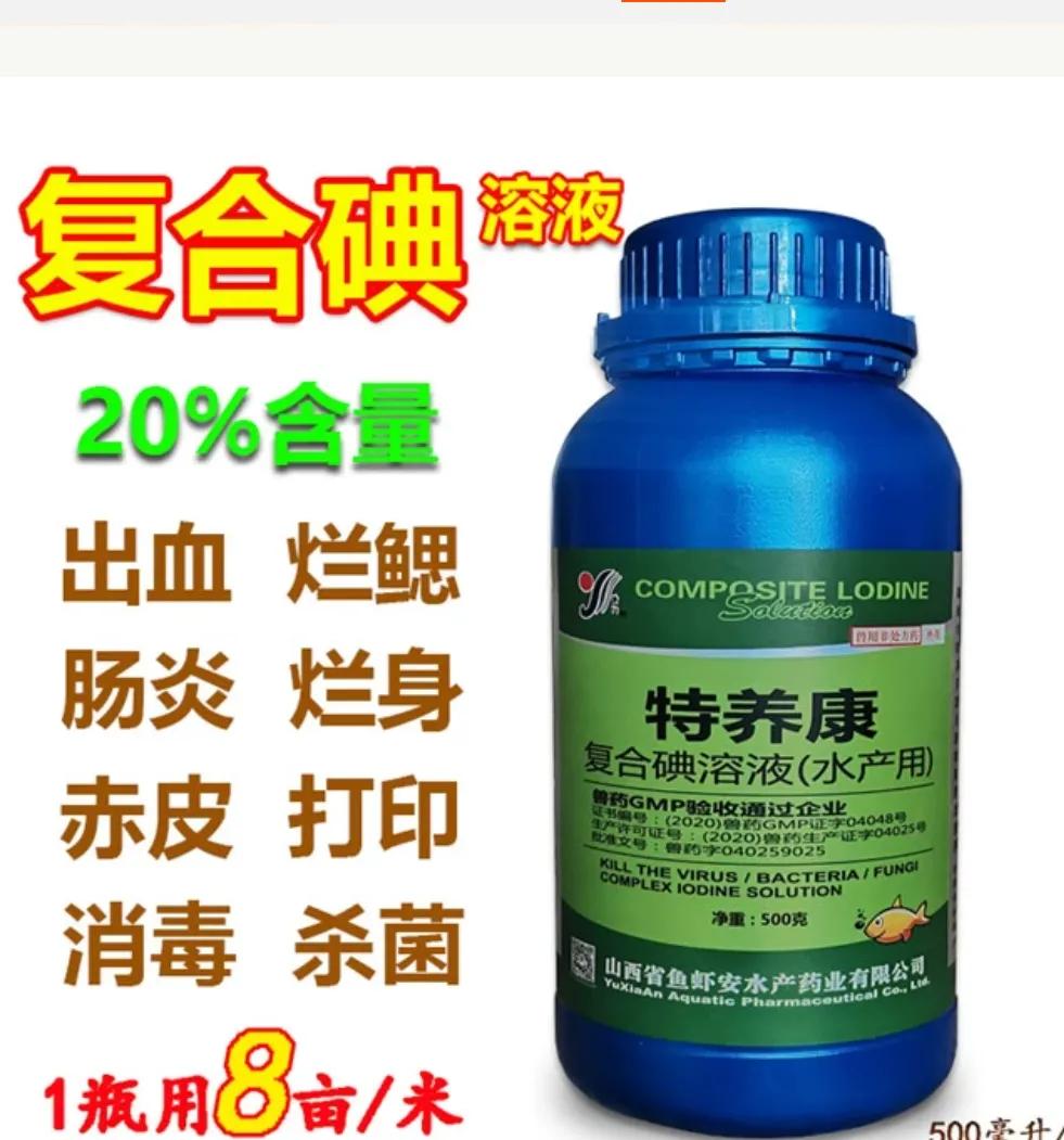高密度养殖(农村小伙在房屋里高密度养鱼,一方池养1000条苗,半年就能卖了)(图5) 高密度养殖(农村小伙在房屋里高密度养鱼,一方池养1000条苗,半年就能卖了)(图5)