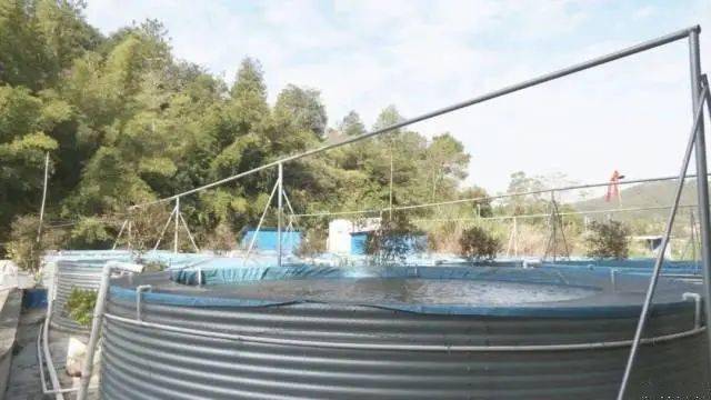 高密度养殖(鱼还能这么养?!高密度、高围池养殖模式,养鱼养出了新花招)(图2) 高密度养殖(鱼还能这么养?!高密度、高围池养殖模式,养鱼养出了新花招)(图2)