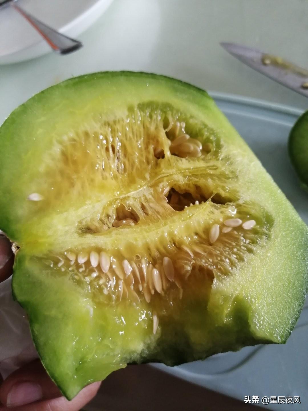 树香瓜与普通香瓜的区别(全是干货!3000多字、二十多张图手把手教你在家用花盆种甜瓜)(图2) 树香瓜与普通香瓜的区别(全是干货!3000多字、二十多张图手把手教你在家用花盆种甜瓜)(图2)