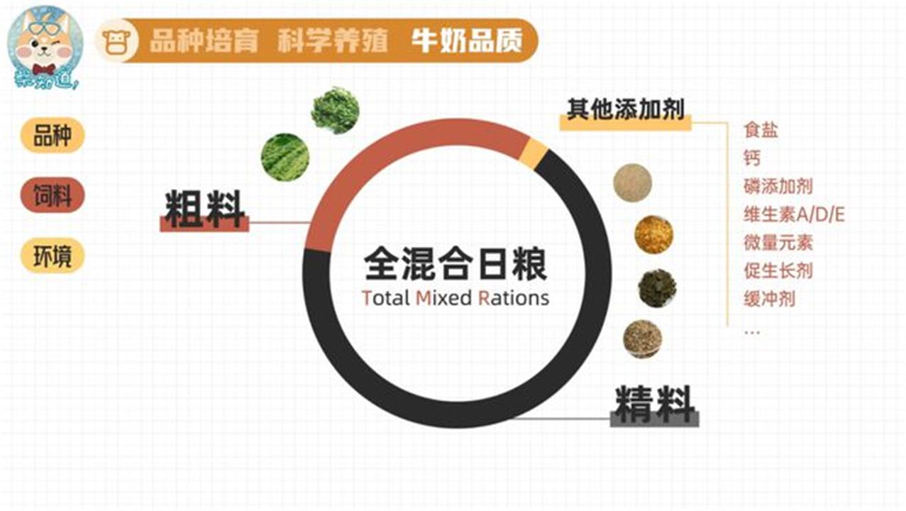 奶牛是公牛还是母牛产奶(奶牛场里没有公牛,为什么母牛却能一直产奶?太可怜了)(图4) 奶牛是公牛还是母牛产奶(奶牛场里没有公牛,为什么母牛却能一直产奶?太可怜了)(图4)