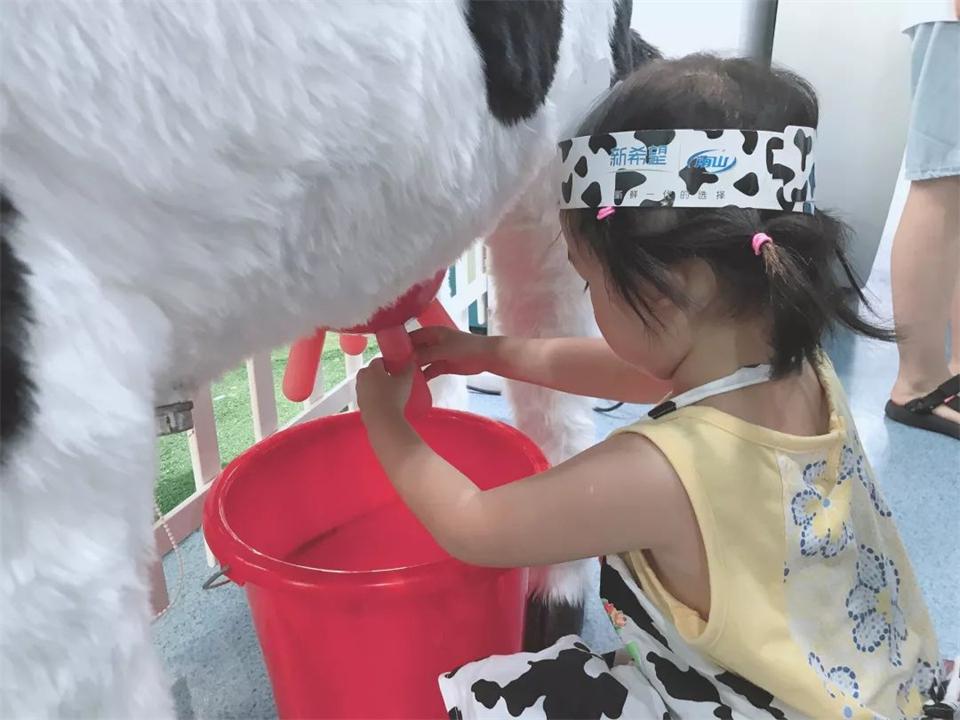 奶牛是公牛还是母牛产奶(奶牛场里没有公牛,为什么母牛却能一直产奶?太可怜了)(图7) 奶牛是公牛还是母牛产奶(奶牛场里没有公牛,为什么母牛却能一直产奶?太可怜了)(图7)