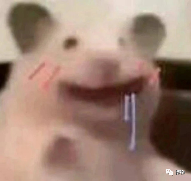 淄博烧烤爆火的原因(淄博烧烤是凭什么突然爆火的)(图7) 淄博烧烤爆火的原因(淄博烧烤是凭什么突然爆火的)(图7)