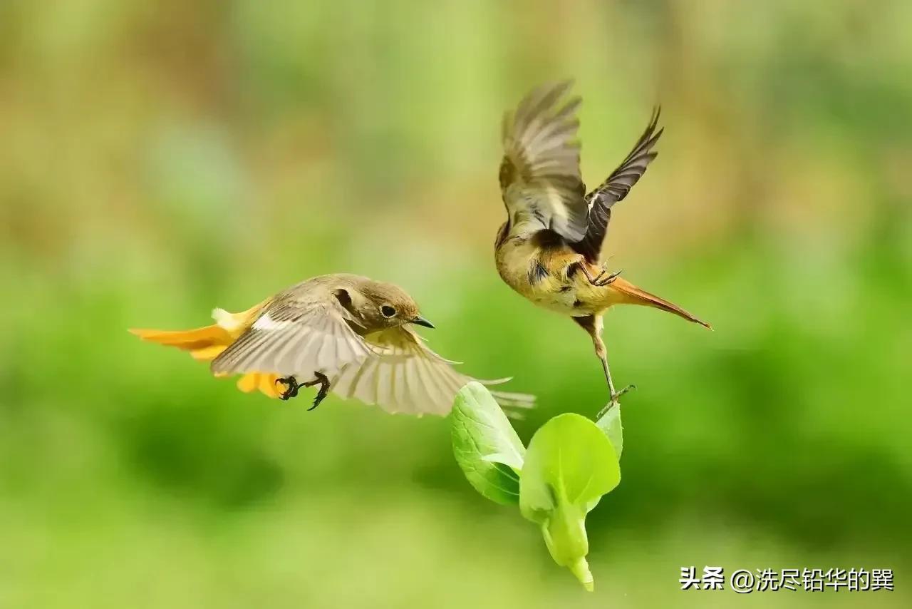 如何修身养性(如何去修身养性)(图2) 如何修身养性(如何去修身养性)(图2)