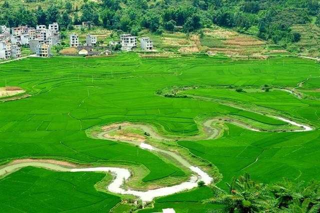 巴马景区旅游景点介绍(广西巴马:世界长寿之乡的由来、景点与长寿村的奥秘)(图2) 巴马景区旅游景点介绍(广西巴马:世界长寿之乡的由来、景点与长寿村的奥秘)(图2)