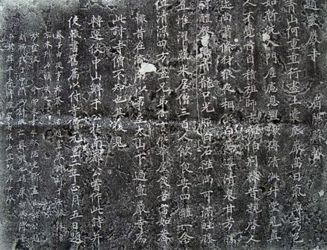 三苏指的是哪三人(历史上的“三苏”有多牛)(图6) 三苏指的是哪三人(历史上的“三苏”有多牛)(图6)