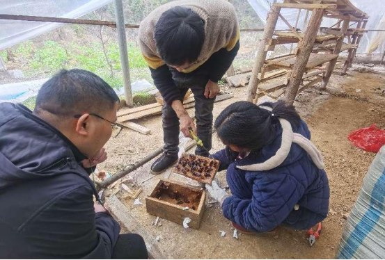 黔农e贷手机贷款流程(松桃农信联社:服务上门 金融全覆盖)(图2) 黔农e贷手机贷款流程(松桃农信联社:服务上门 金融全覆盖)(图2)