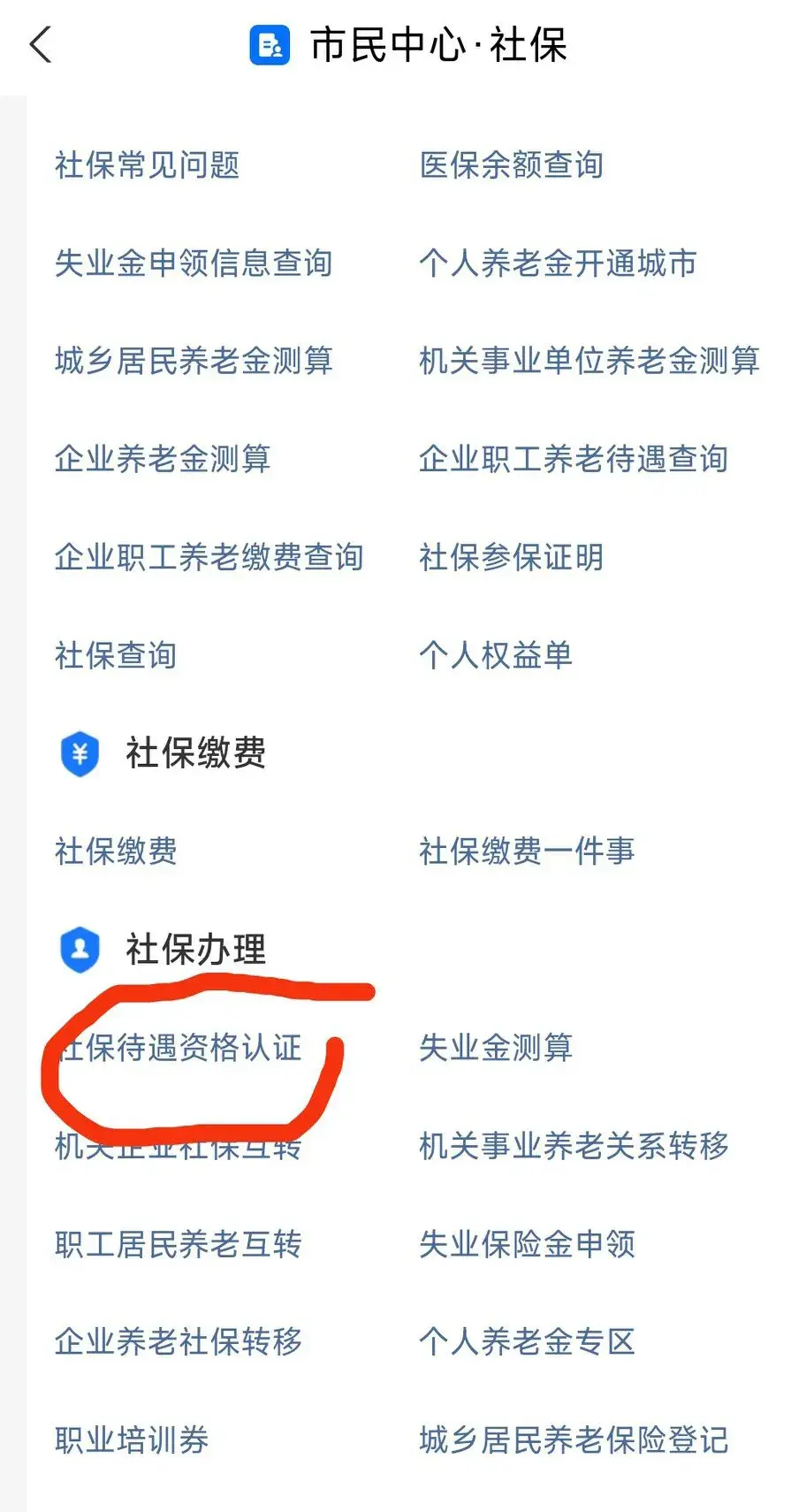 支付宝养老认证操作步骤(我来教你养老金资格认证)(图3) 支付宝养老认证操作步骤(我来教你养老金资格认证)(图3)
