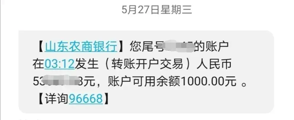 定期转活期可以在手机上操作吗(洋气一把,电子存单了解一下)(图3) 定期转活期可以在手机上操作吗(洋气一把,电子存单了解一下)(图3)
