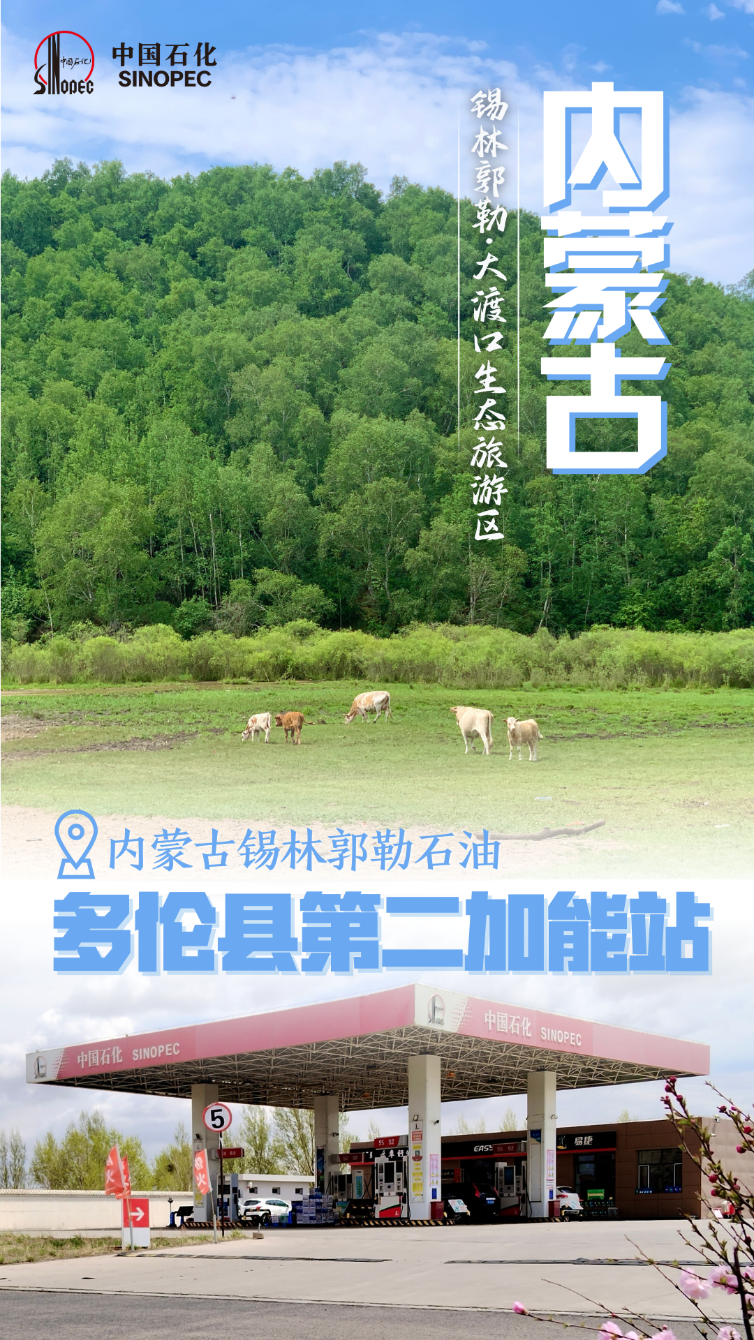 哪个银行信用卡加油优惠最大(全天优惠0.2元/升!快去加油)(图2) 哪个银行信用卡加油优惠最大(全天优惠0.2元/升!快去加油)(图2)