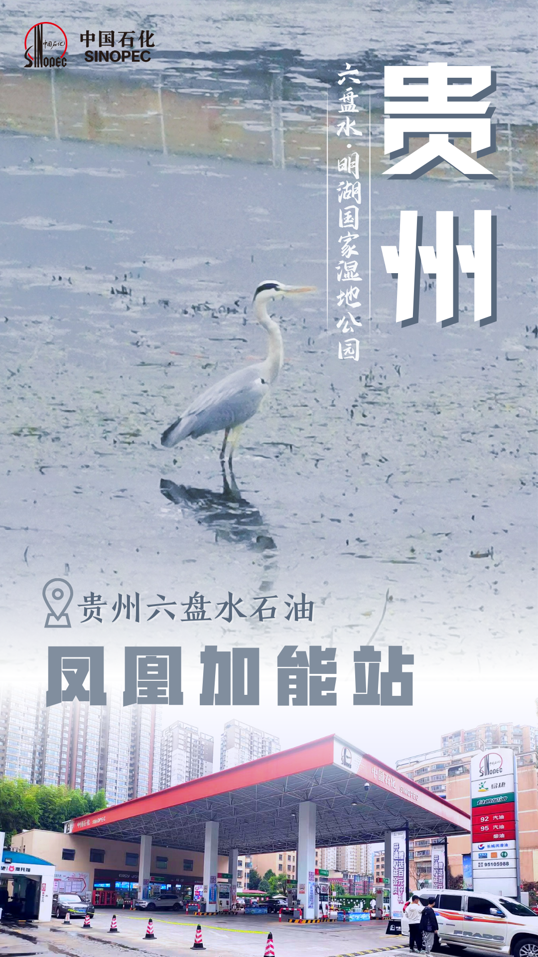 哪个银行信用卡加油优惠最大(全天优惠0.2元/升!快去加油)(图7) 哪个银行信用卡加油优惠最大(全天优惠0.2元/升!快去加油)(图7)