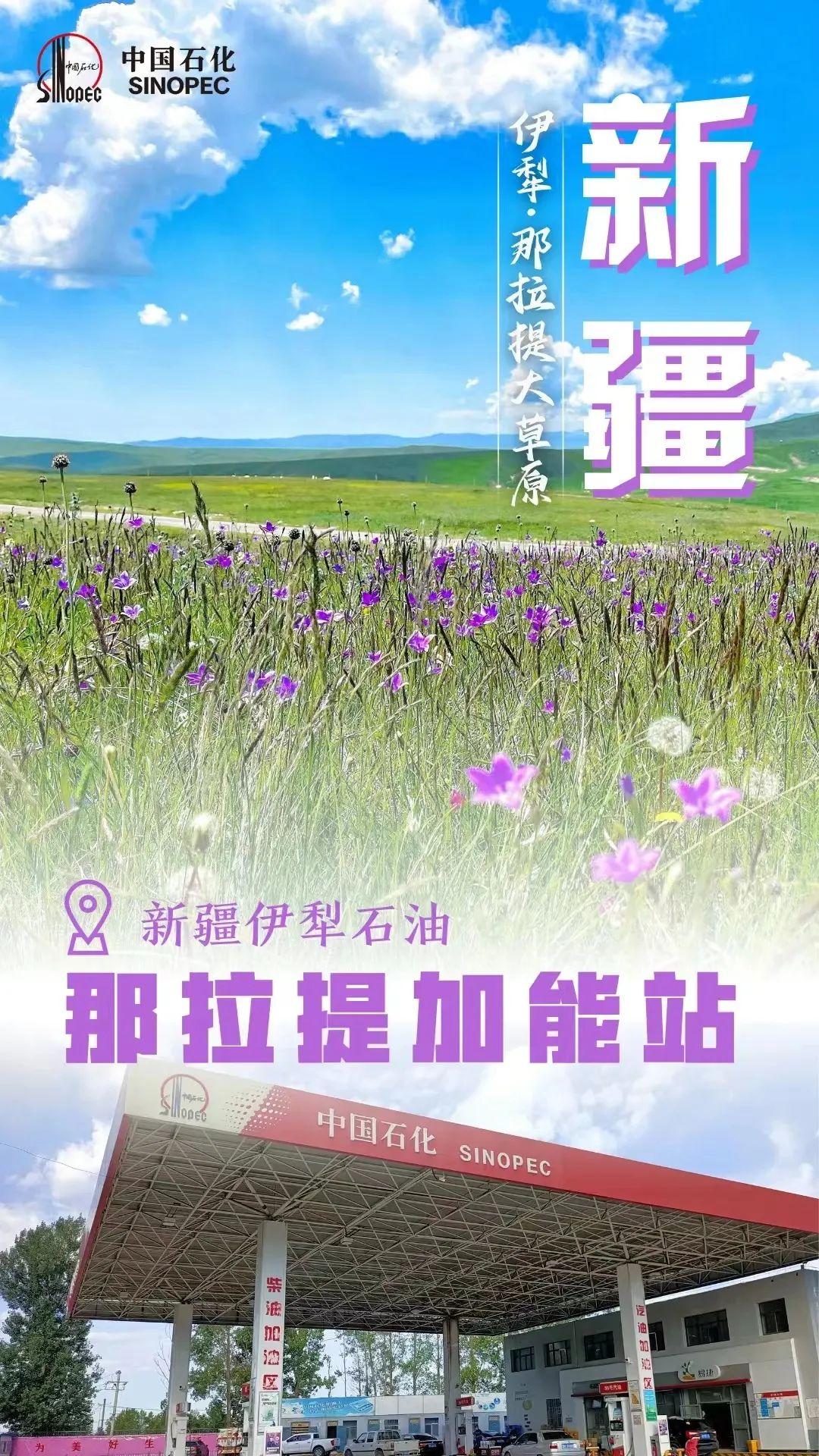 哪个银行信用卡加油优惠最大(全天优惠0.2元/升!快去加油)(图9) 哪个银行信用卡加油优惠最大(全天优惠0.2元/升!快去加油)(图9)